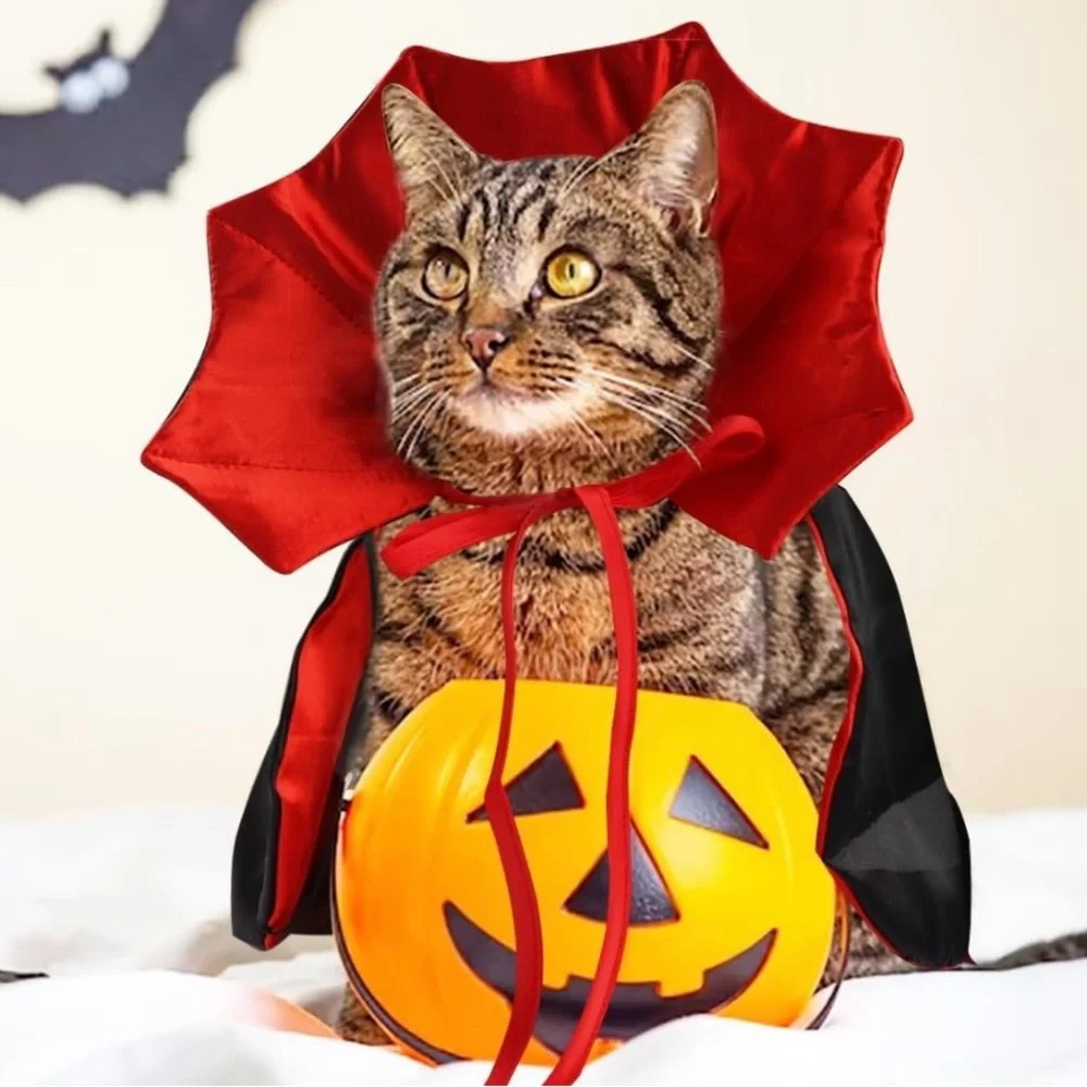 Vampire Bat Cat or Small Dog Costume Red/Black Satin by Ablaze Zai NEW